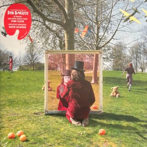SYD BARRETT - AN INTRODUCTION TO SYD BARRETT